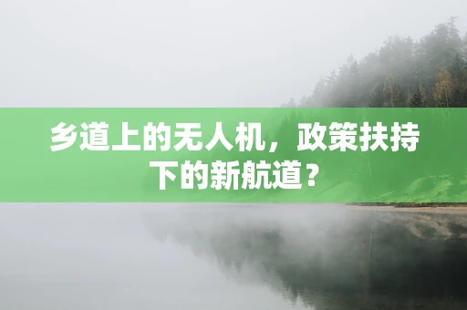 乡道上的无人机，政策扶持下的新航道？