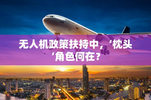 无人机政策扶持中，‘枕头’角色何在？
