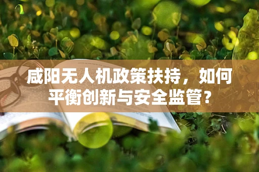 咸阳无人机政策扶持，如何平衡创新与安全监管？