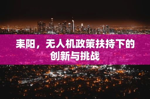 耒阳，无人机政策扶持下的创新与挑战