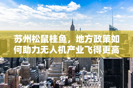 苏州松鼠桂鱼，地方政策如何助力无人机产业飞得更高？