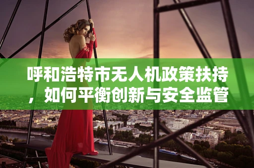 呼和浩特市无人机政策扶持，如何平衡创新与安全监管的微妙平衡？