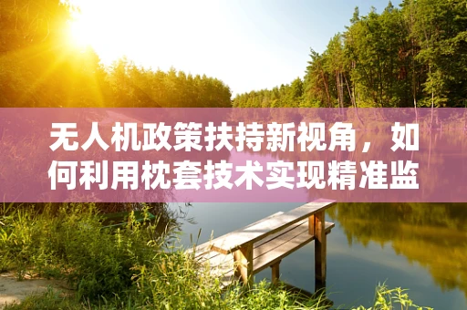 无人机政策扶持新视角，如何利用枕套技术实现精准监管？