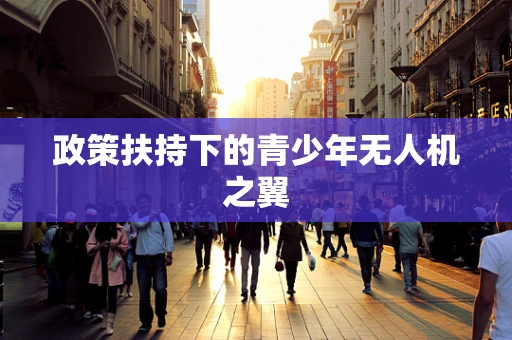 政策扶持下的青少年无人机之翼