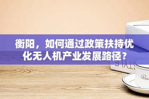 衡阳，如何通过政策扶持优化无人机产业发展路径？