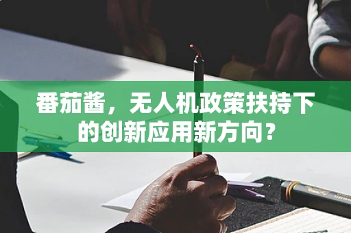 番茄酱，无人机政策扶持下的创新应用新方向？