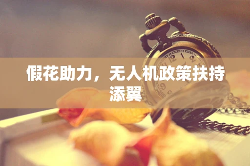假花助力，无人机政策扶持添翼