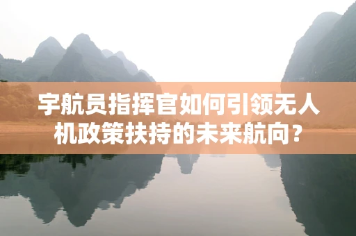宇航员指挥官如何引领无人机政策扶持的未来航向？