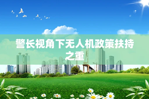 警长视角下无人机政策扶持之重