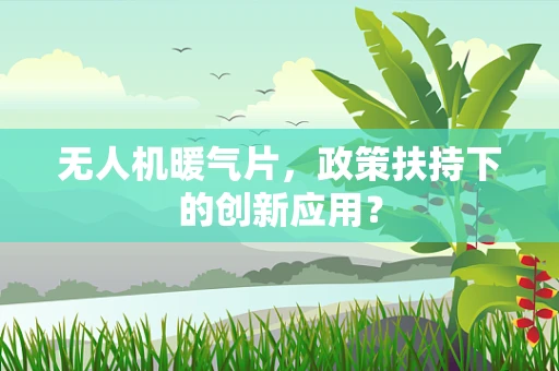 无人机暖气片，政策扶持下的创新应用？