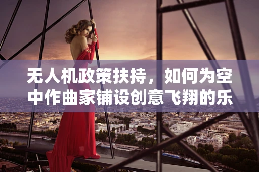 无人机政策扶持，如何为空中作曲家铺设创意飞翔的乐章？