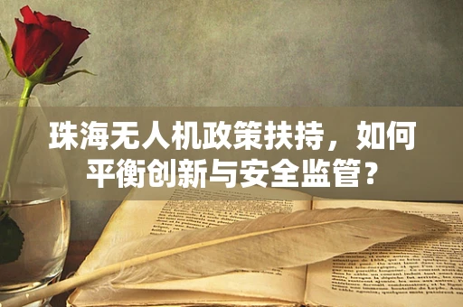 珠海无人机政策扶持，如何平衡创新与安全监管？