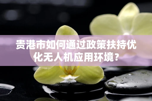 贵港市如何通过政策扶持优化无人机应用环境？