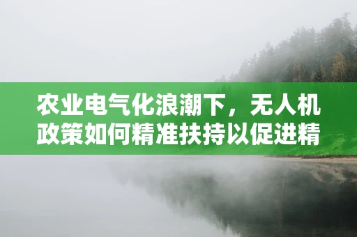 农业电气化浪潮下，无人机政策如何精准扶持以促进精准农业发展？