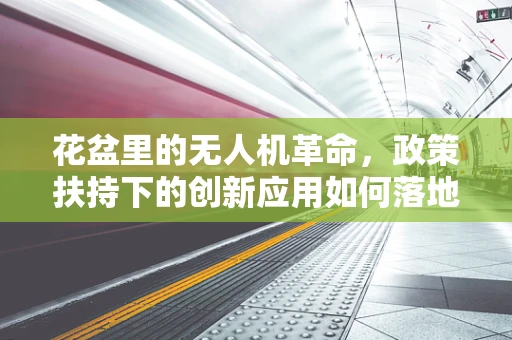 花盆里的无人机革命，政策扶持下的创新应用如何落地？
