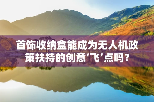 首饰收纳盒能成为无人机政策扶持的创意‘飞’点吗？