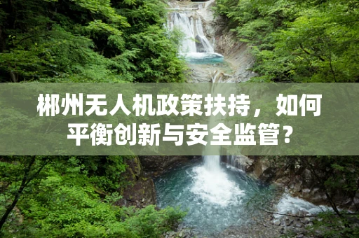 郴州无人机政策扶持，如何平衡创新与安全监管？