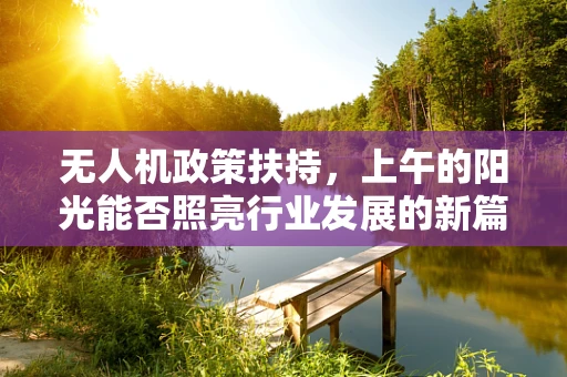 无人机政策扶持，上午的阳光能否照亮行业发展的新篇章？