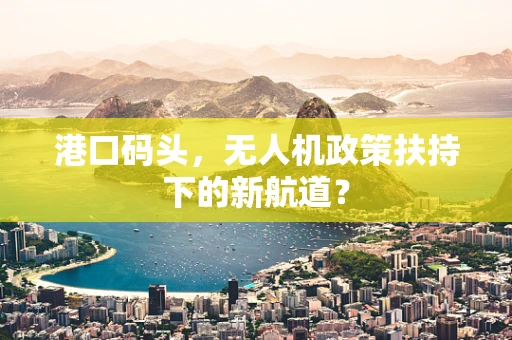 港口码头，无人机政策扶持下的新航道？