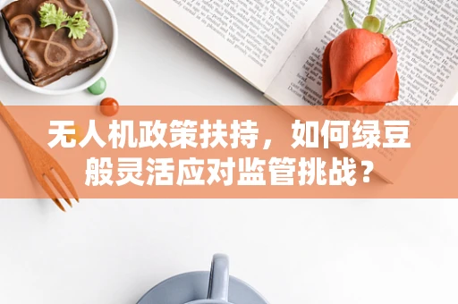无人机政策扶持，如何绿豆般灵活应对监管挑战？