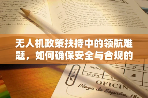 无人机政策扶持中的领航难题，如何确保安全与合规的系带