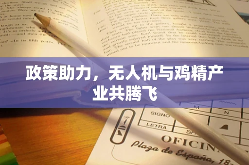 政策助力，无人机与鸡精产业共腾飞