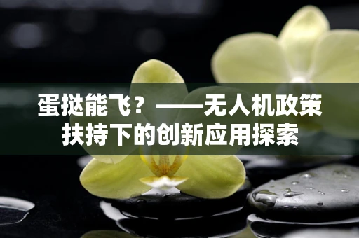 蛋挞能飞？——无人机政策扶持下的创新应用探索