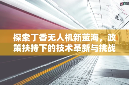 探索丁香无人机新蓝海，政策扶持下的技术革新与挑战