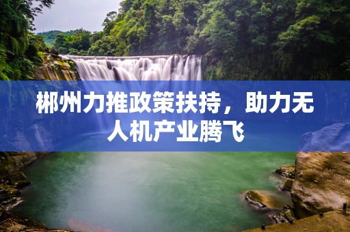 郴州力推政策扶持，助力无人机产业腾飞