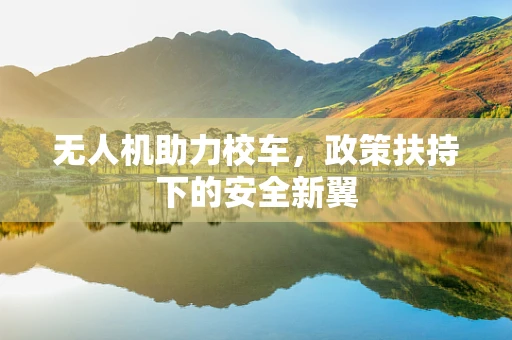 无人机助力校车，政策扶持下的安全新翼