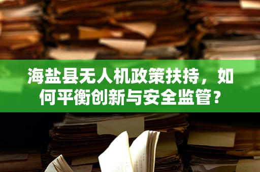 海盐县无人机政策扶持，如何平衡创新与安全监管？