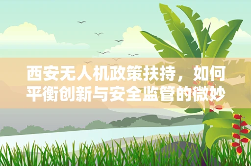西安无人机政策扶持，如何平衡创新与安全监管的微妙平衡？