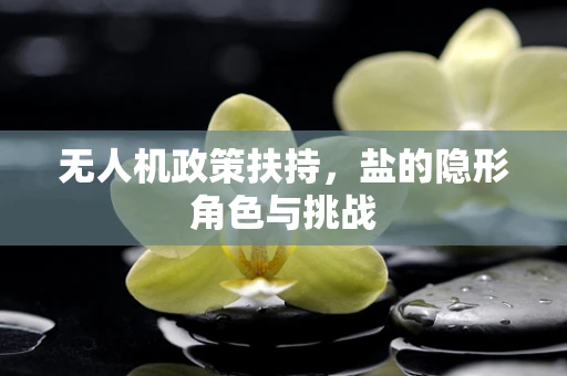 无人机政策扶持，盐的隐形角色与挑战
