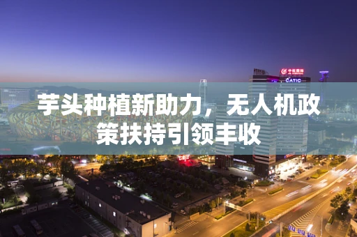 芋头种植新助力，无人机政策扶持引领丰收