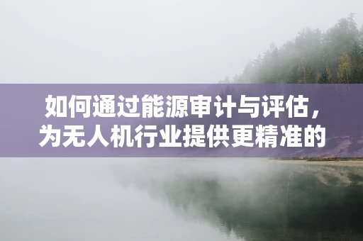 如何通过能源审计与评估，为无人机行业提供更精准的政策扶持？