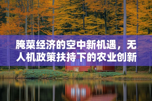 腌菜经济的空中新机遇，无人机政策扶持下的农业创新之路？