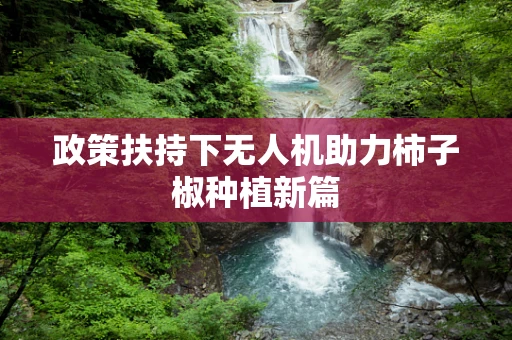 政策扶持下无人机助力柿子椒种植新篇