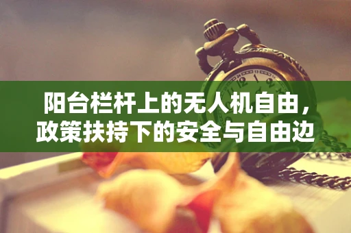 阳台栏杆上的无人机自由，政策扶持下的安全与自由边界