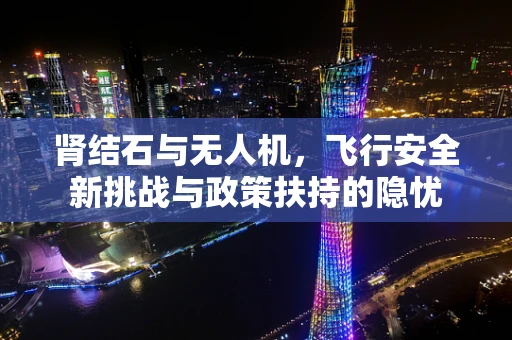 肾结石与无人机，飞行安全新挑战与政策扶持的隐忧
