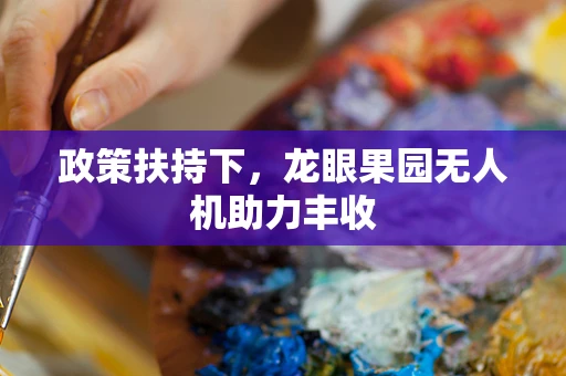 政策扶持下，龙眼果园无人机助力丰收