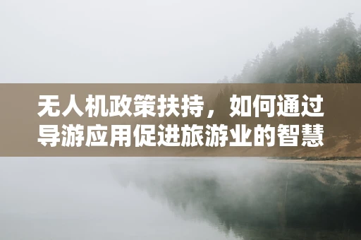 无人机政策扶持，如何通过导游应用促进旅游业的智慧升级？