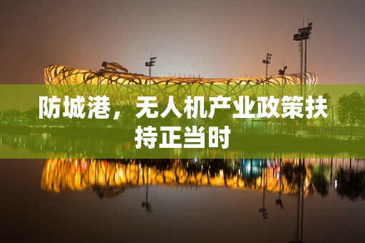 防城港，无人机产业政策扶持正当时