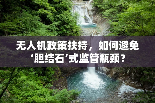 无人机政策扶持，如何避免‘胆结石’式监管瓶颈？