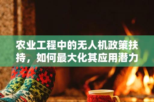 农业工程中的无人机政策扶持，如何最大化其应用潜力？