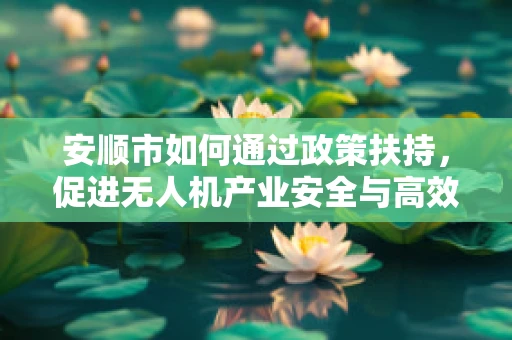 安顺市如何通过政策扶持，促进无人机产业安全与高效发展？
