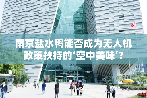 南京盐水鸭能否成为无人机政策扶持的‘空中美味’？