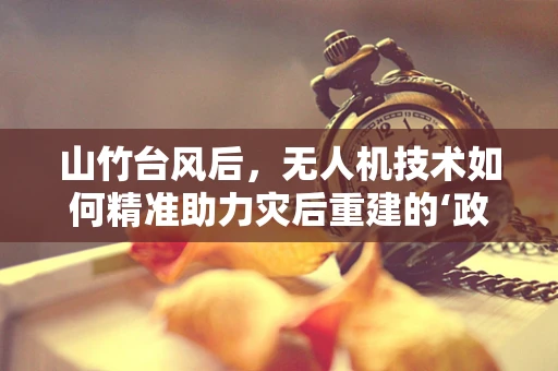 山竹台风后，无人机技术如何精准助力灾后重建的‘政策扶持’之问？