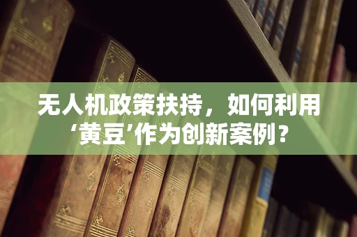 无人机政策扶持，如何利用‘黄豆’作为创新案例？