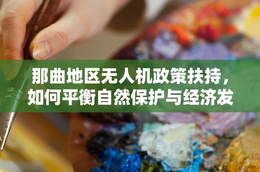 那曲地区无人机政策扶持，如何平衡自然保护与经济发展？