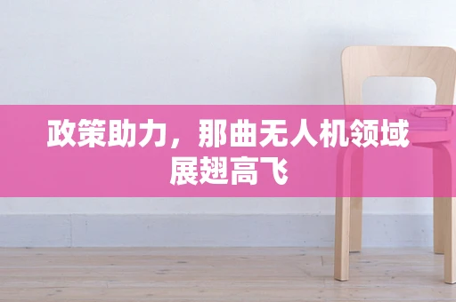 政策助力，那曲无人机领域展翅高飞